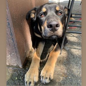 Meet your Posher, Katie